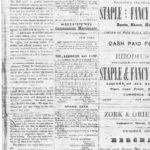 NewspapersFolder1867 – 1867Sep28ExpWellsKiller